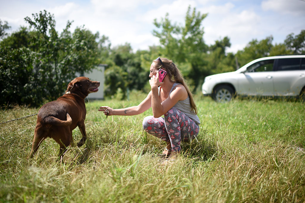 Barbara Doyle reaches out to pet Able, an abandoned dog